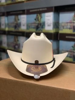 Tombstone 30x Johnson (Copa Alta) Sinaloa Style Cowboy Hat -Guadalajara Western Wear IMG 91752 1