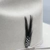Original Stetson Feather (Black/Negro)(Pack Of 2) -Guadalajara Western Wear IMG A496F329178C 1