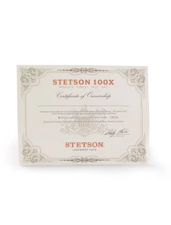 Stetson El Presidente 100X Premier Cowboy Felt Hat -Guadalajara Western Wear SFPRES 4840.07 7 3