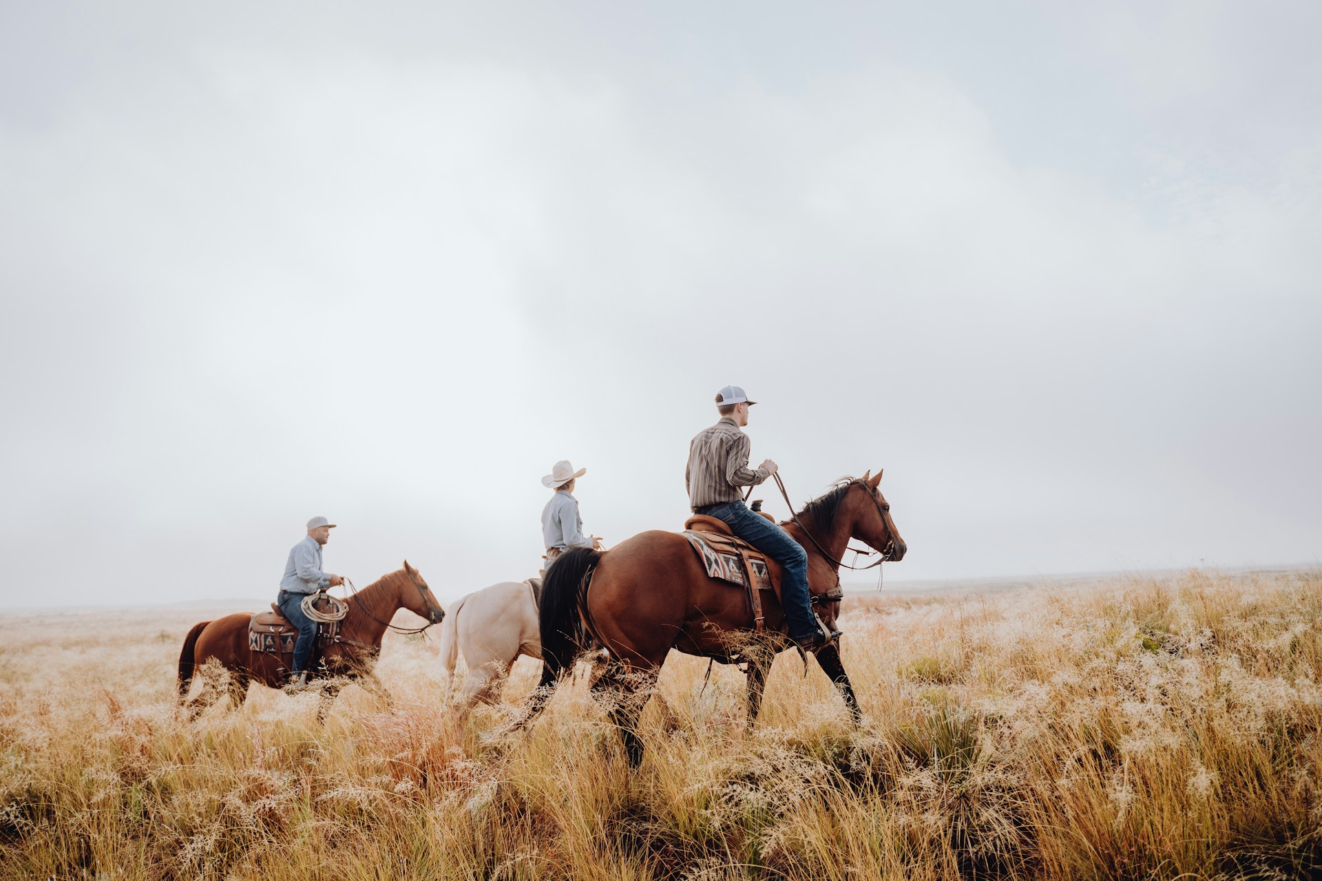 Guadalajara Western Wear 1 Guadalajara Western Wear -Guadalajara Western Wear bailey alexander 5N BqTrWbpY unsplash