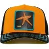 Baby I'm A Star- Orange -Guadalajara Western Wear goorin bros starfish baby i m a star the farm orange and black trucker hat