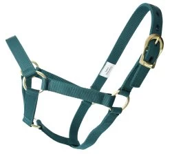 Amartigón Verde / Green Halter